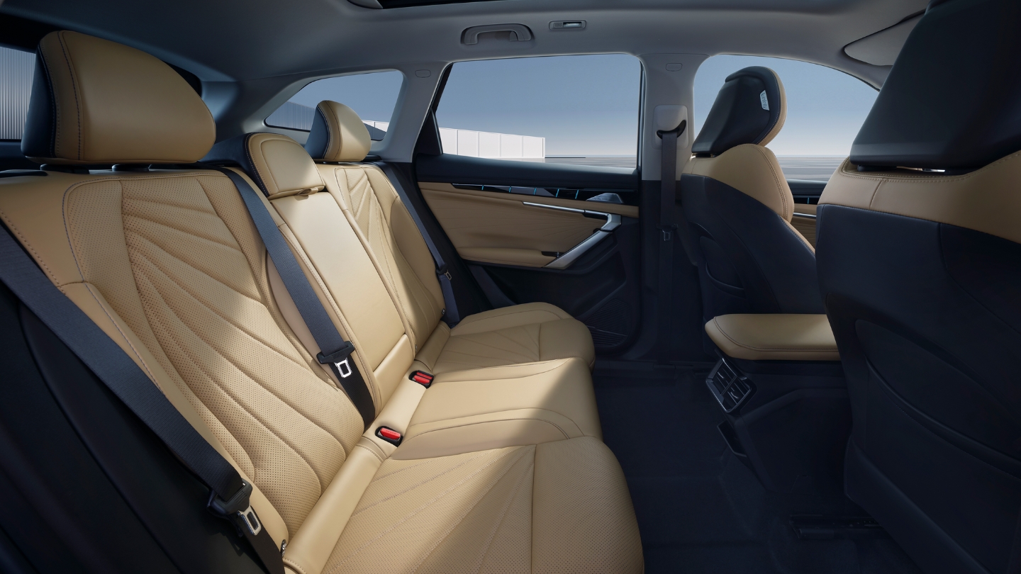 Scaune spate Geely Starray